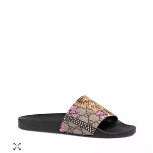 Gucci Bengal Pool Slide Sandals